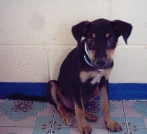 13 Chic Slipway To Vex More Irrefutable Reviews For Your Business